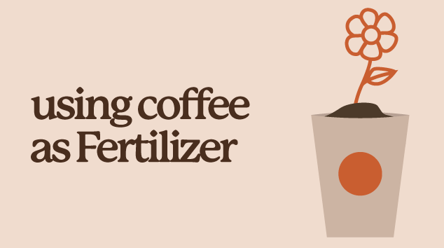 Text "using coffee as fertilizer" with picture of flower growing out of a coffee cup.