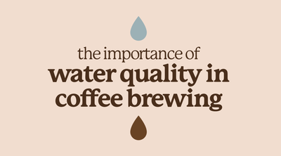 Why Should You Care About the Water in Your Coffee?