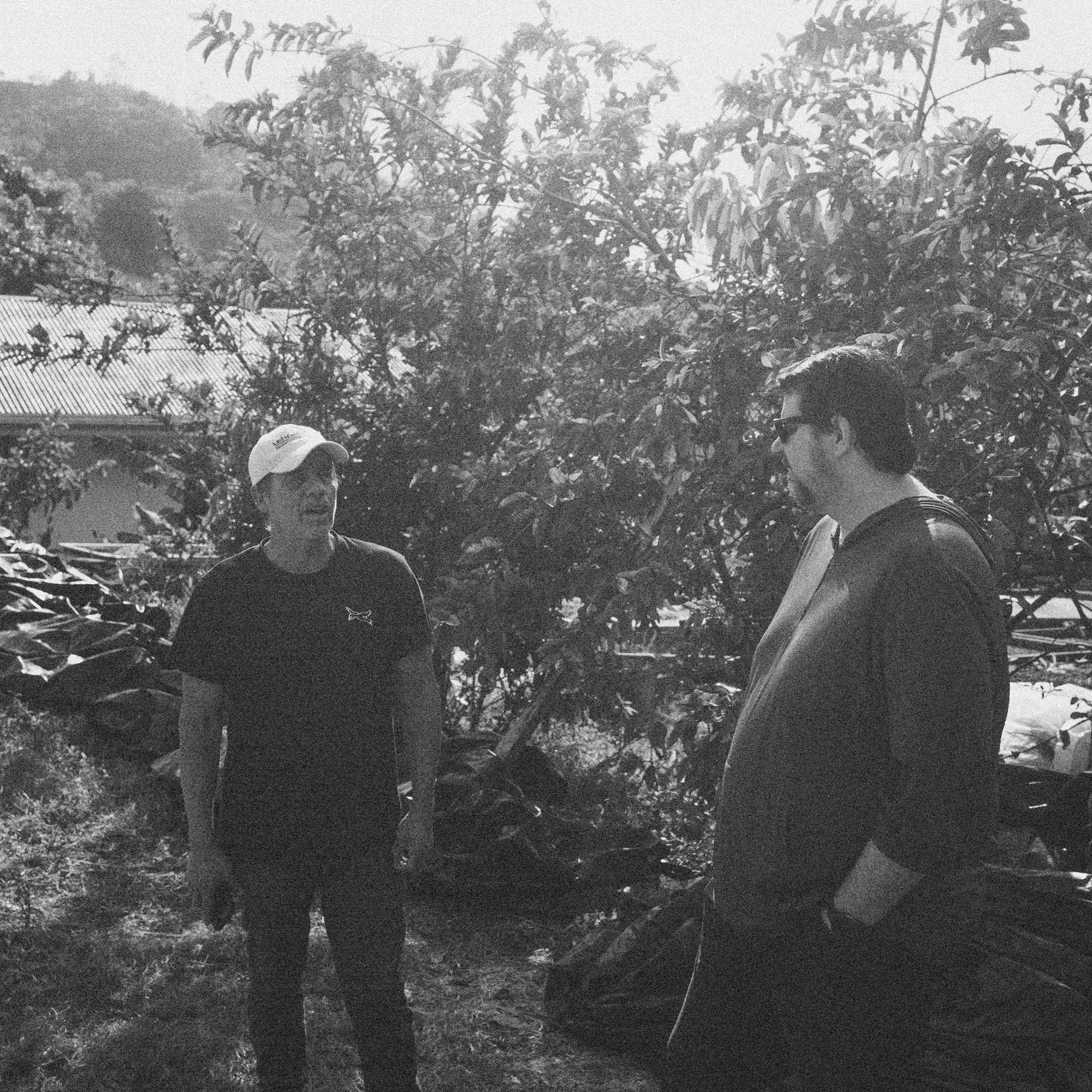 Costa Rican Coffee Beans