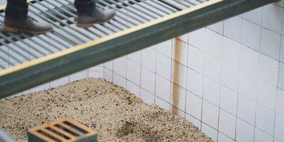 Person standing on a metal platform over a washed specialty coffee tank 