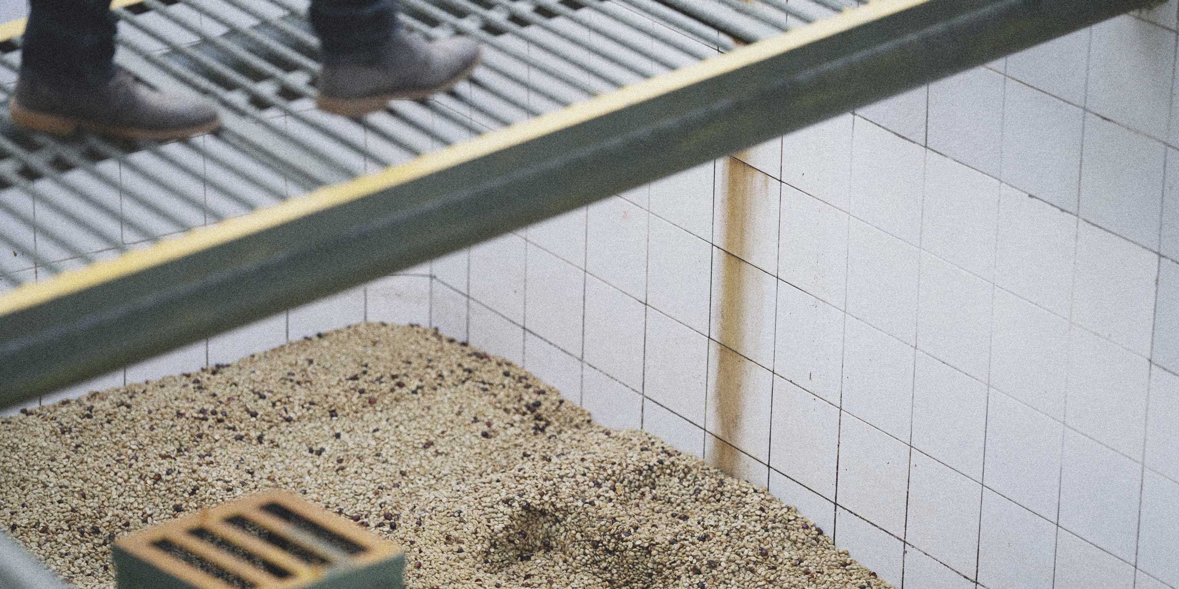 Person standing on a metal platform over a washed specialty coffee tank 