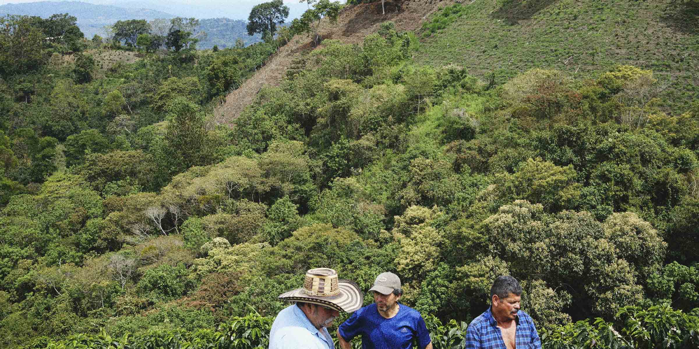 Coffee farmers standing together in a coffee farm