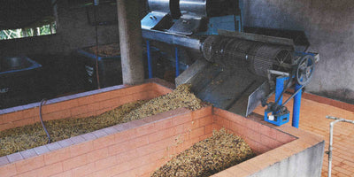 Mechanical device processing coffee in a coffee farm