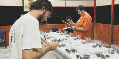 People cupping coffees at origin