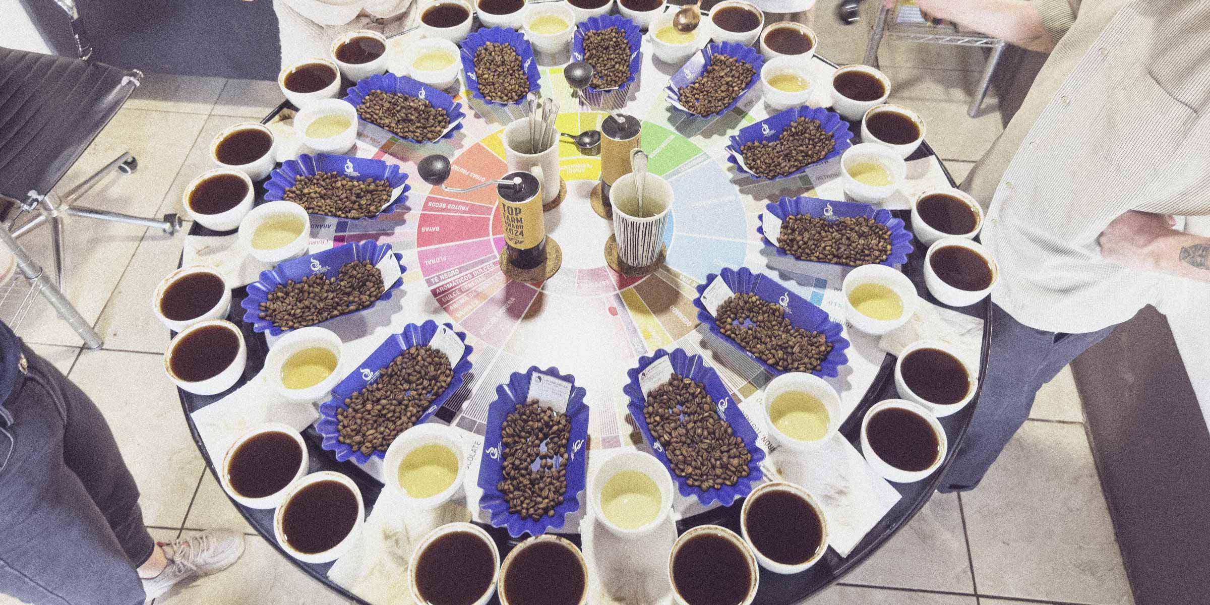 Specialty coffee cupping table from La Aurora Mill