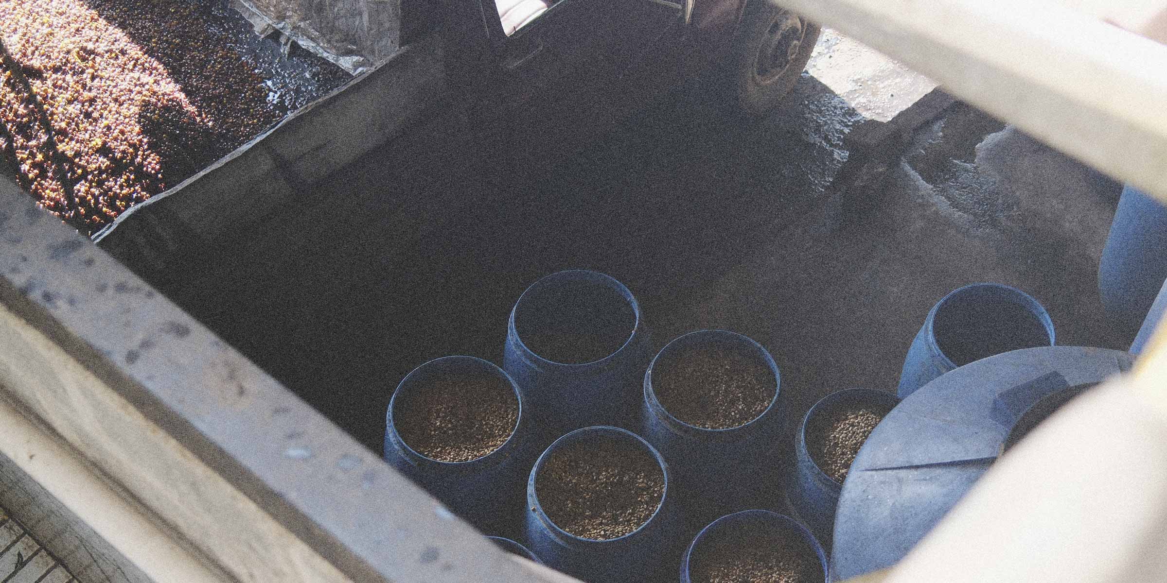Coffee fermenting in multiple barrels