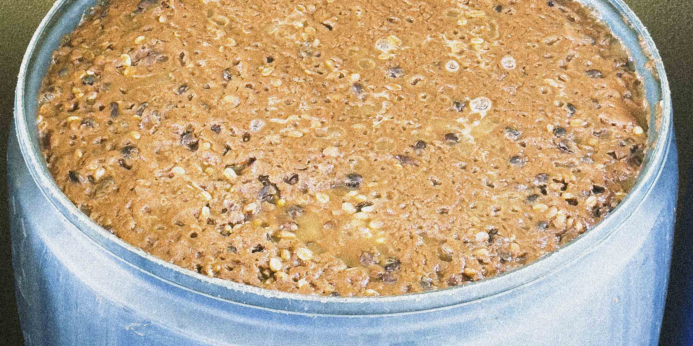 Coffee beans fermenting in a barrel 