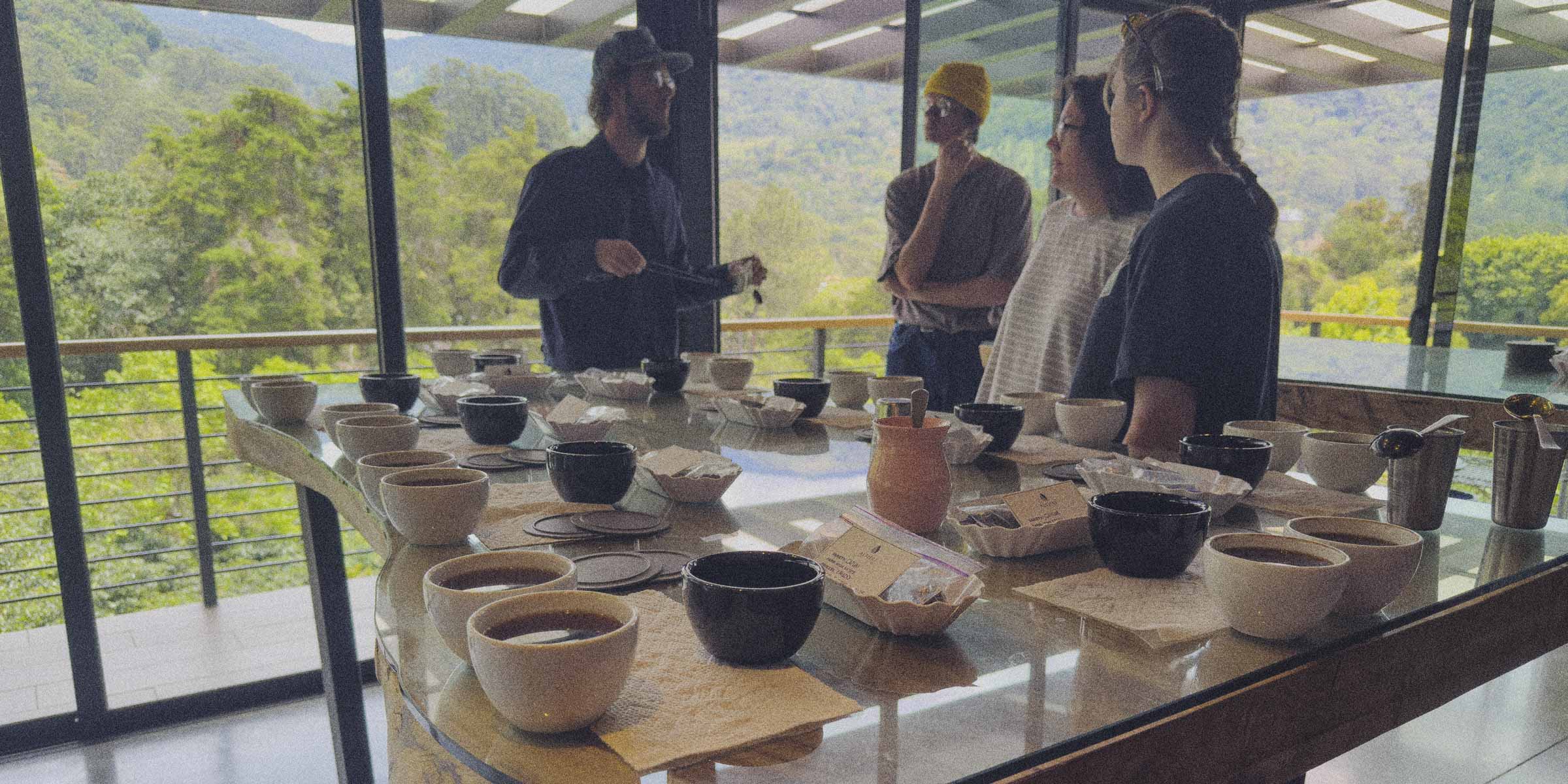 Specialty coffee cupping in Panama