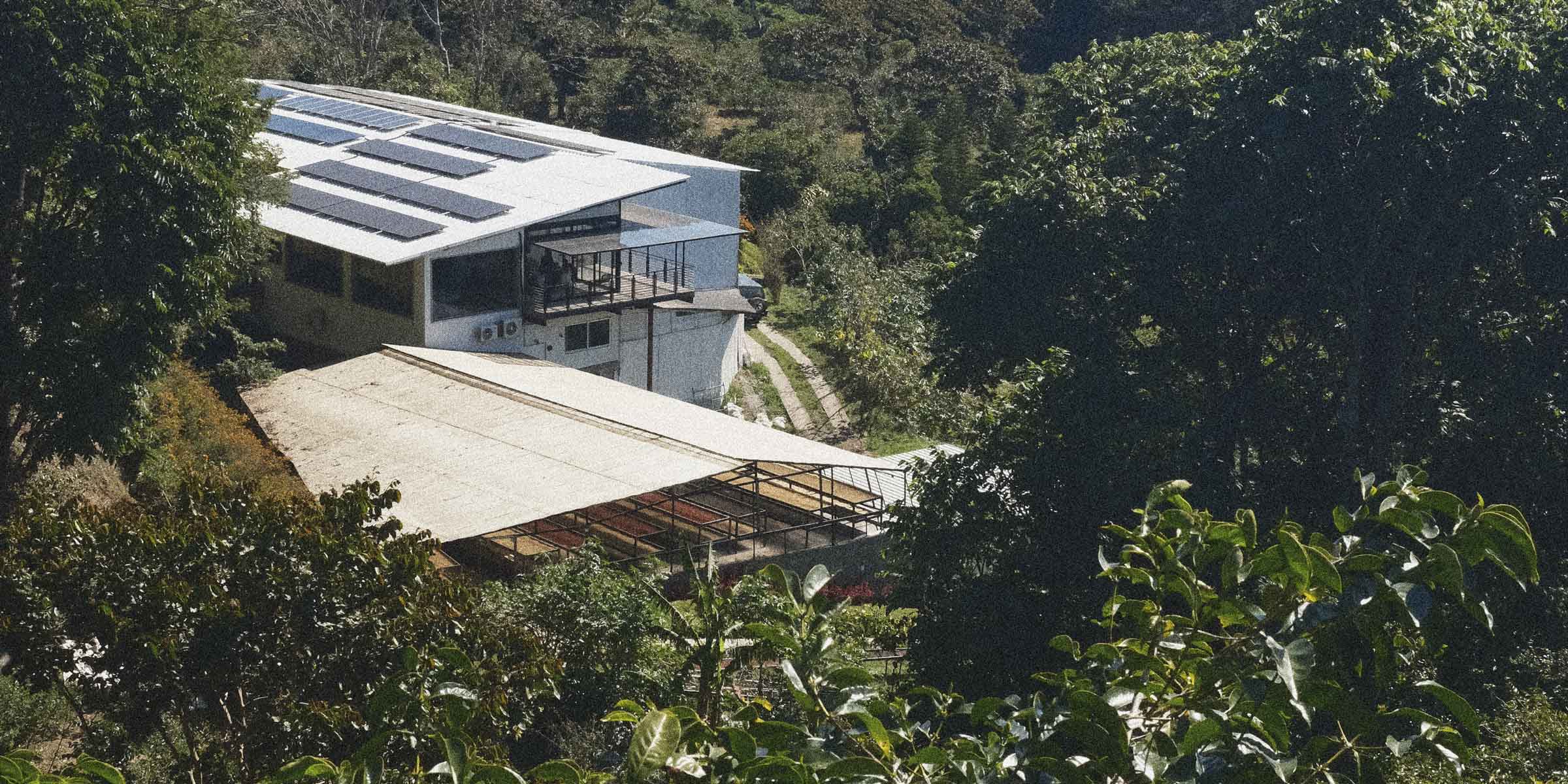 Lamastus family farm with drying beds and a cupping facility