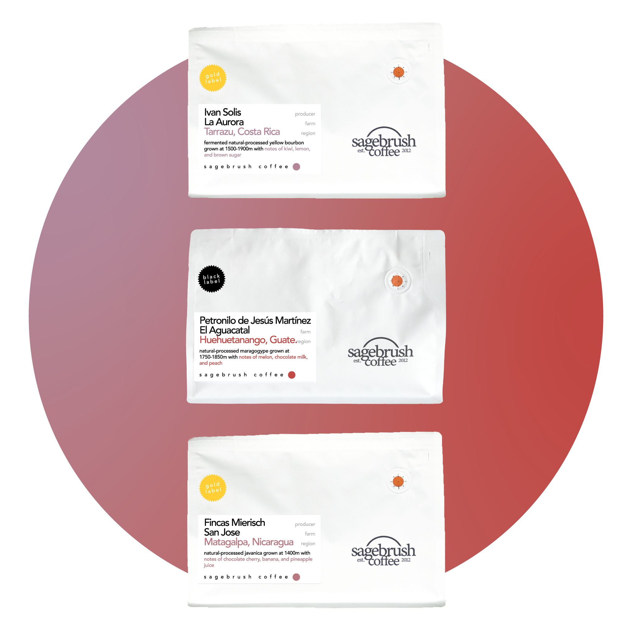 Central American Sampler • Combo 3 Pack