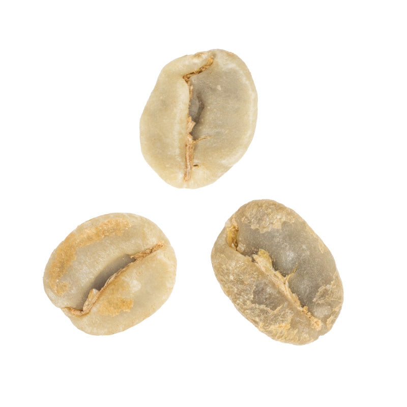 Three raw coffee beans on a white background