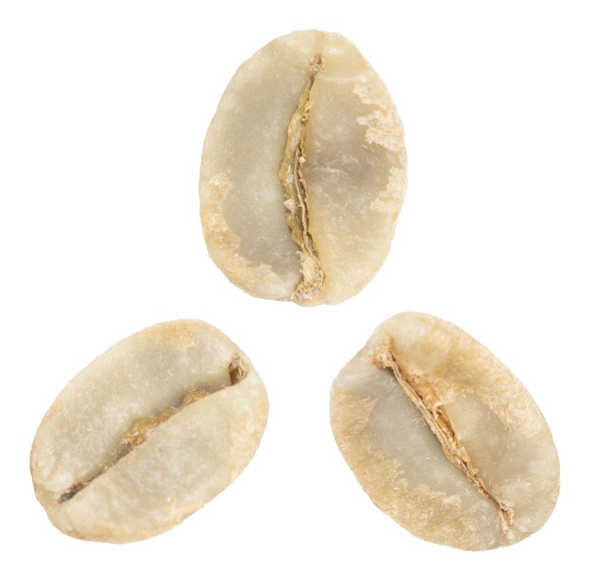 bourbon coffee variety green coffee beans