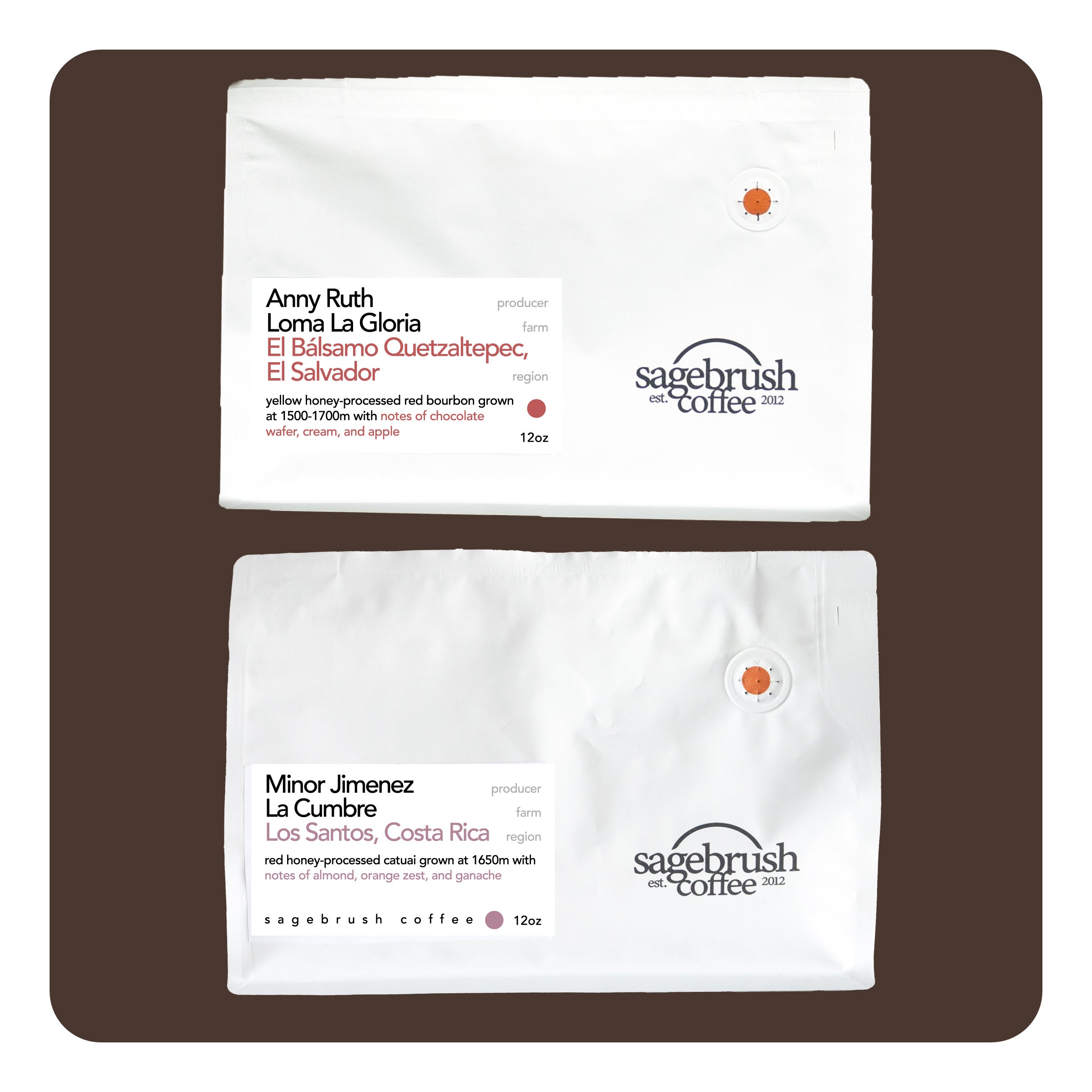 Favorites for Cold Brew • Combo 2 Pack