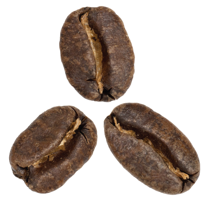 gesha coffee variety green coffee beans