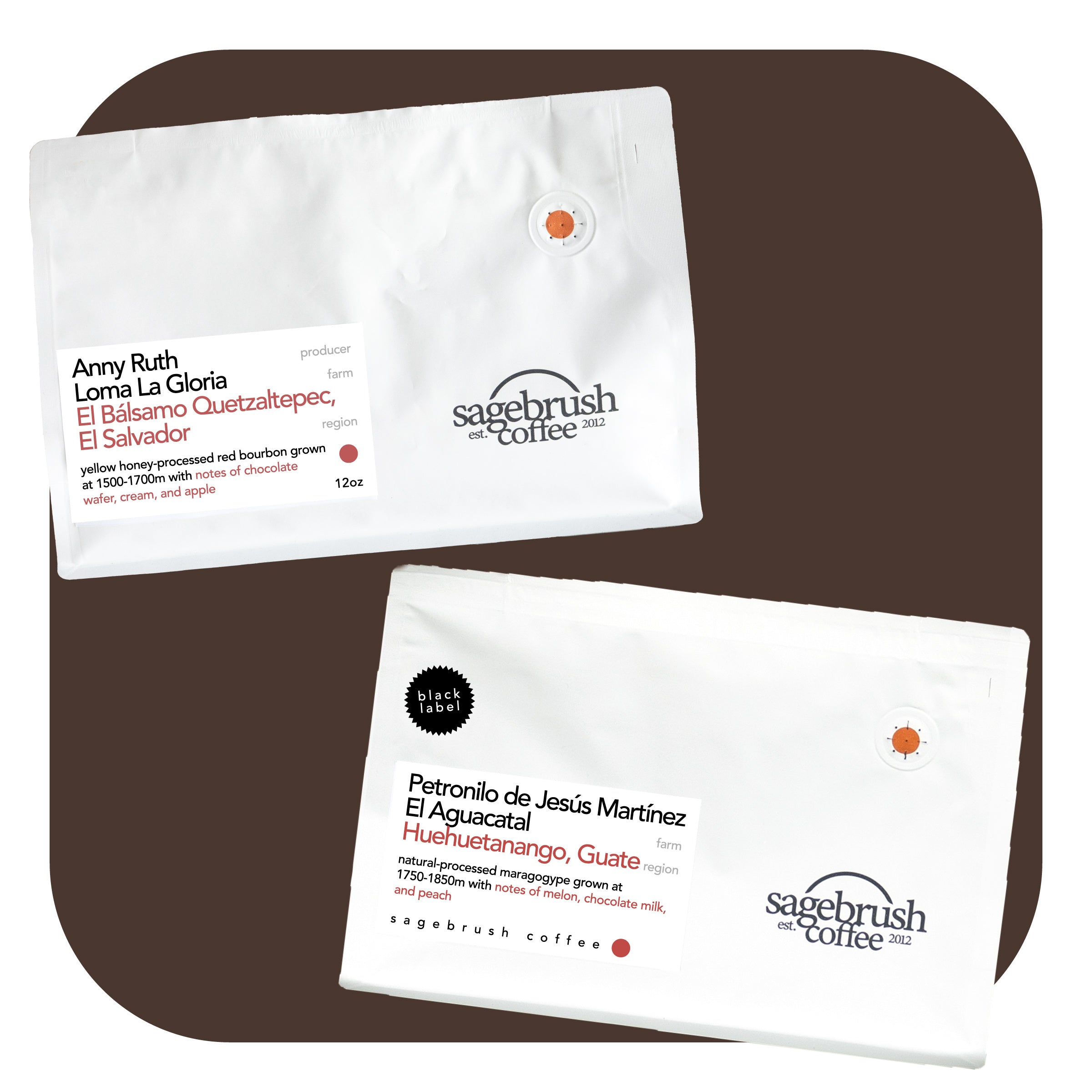Favorites for Cold Brew • Combo 2 Pack
