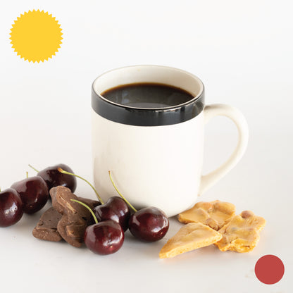 Rodin Villatoro • Washed-Processed Bourbon, Caturra Villaure Especial Lot